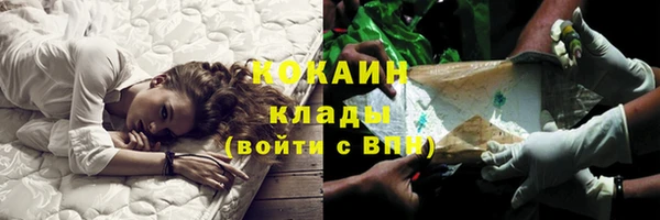 хмурый Кодинск