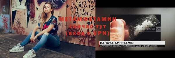 гидра Долгопрудный