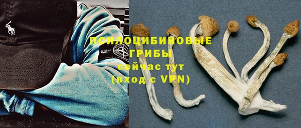 хмурый Кодинск