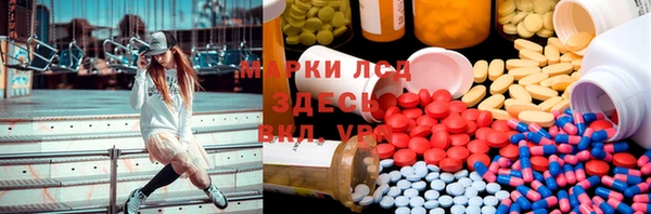 гидра Долгопрудный