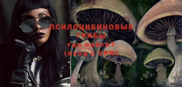 хмурый Кодинск