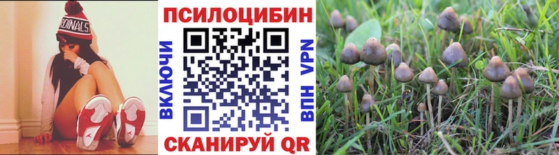 Купить где  Гулькевичи  Галлюциногенные грибы GOLDEN TEACHER 